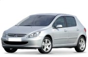 Peugeot 307 Fase 1 2001-2005