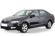 Skoda Octavia 2013-2017