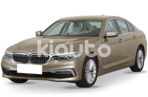 Bmw Serie 5 G30-G31 Fase 1 2016-2020