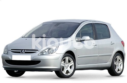 Peugeot 307 Fase 1 2001-2005
