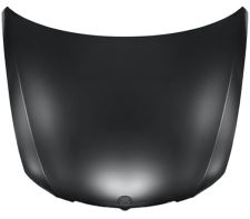 Capo Bmw Serie 3 (e90-e91) 2005-2009 delantero