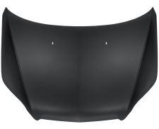 Capo Chevrolet Aveo 2009-2011 delantero