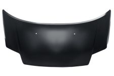 Capo Citroen C2 2008-2010 delantero
