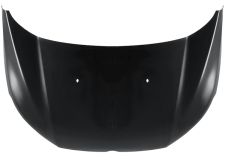 Capo Ford Ecosport 2012-2018 delantero