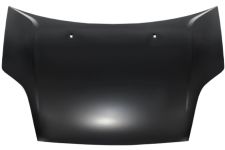 Capo Ford Fiesta 2002-2006 delantero