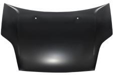 Capo Ford Fiesta 2006-2008 delantero