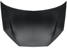 Capo Ford Focus 1998-2001 delantero