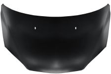 Capo Ford Focus 2005-2008 delantero