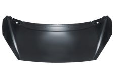 Capo Peugeot 1007 2004-2010 delantero