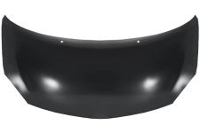 Capo Renault Twingo 2007-2012 delantero