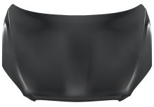 Capo Toyota Rav4 2006-2009 delantero