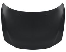 Capo Volvo S60 2007-2010 delantero