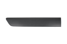 Moldura puerta Renault Kangoo 2003-2007 trasera derecha