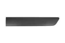 Moldura puerta Renault Kangoo 2003-2007 trasera izquierda
