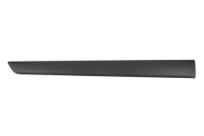 Moldura puerta Renault Kangoo 2007-2013 trasera derecha