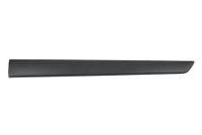 Moldura puerta Renault Kangoo 2007-2013 trasera izquierda