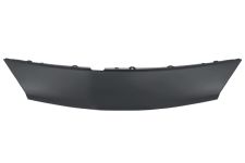 Moldura Renault Scenic 2002-2006 parachoques delantero / superior / imprimada