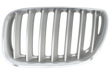 Rejilla Bmw X5 (e53) 2004-2006 frente / titanio / izquierda
