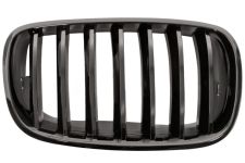Rejilla Bmw X5 (e70) 2007-2010 frente / marco negro / lamas negras / derecha