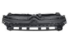 Rejilla Citroen C3 2020-2024 frente
