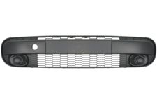 Rejilla Fiat 500L 2012-2017 parachoques delantero / central