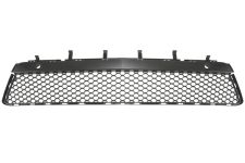 Rejilla Mercedes Clase E (w212) 2009-2013 parachoques delantero / modelo amg / central