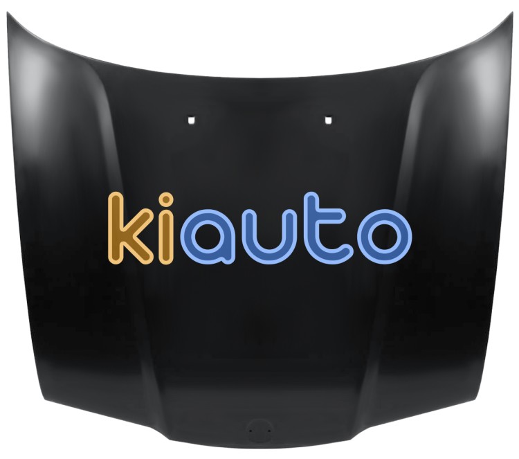 Capo bmw serie 3 (e36) 1990-1998 delantero OE 41618135343