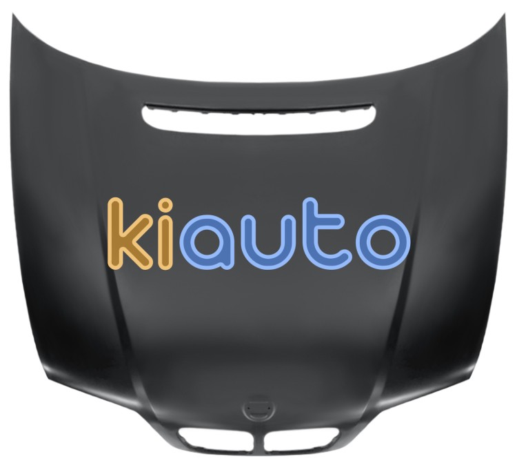 Capo bmw serie 3 (e46) 1998-2001 delantero OE 41618238461
