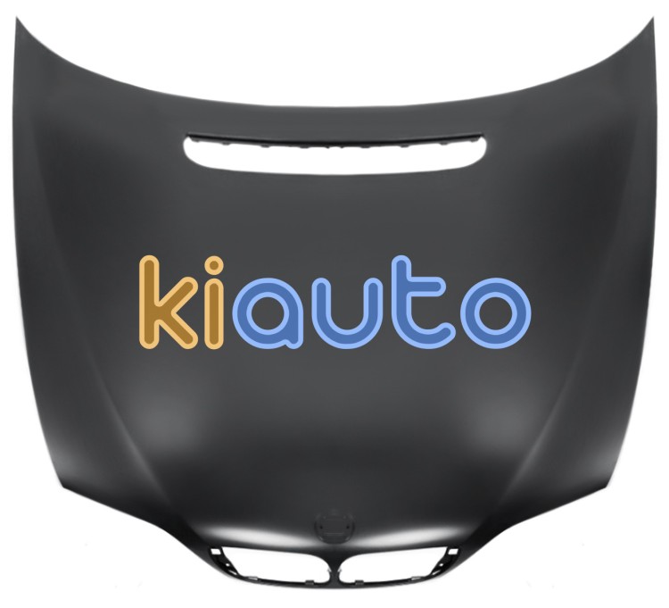 Capo bmw serie 3 (e46) 2001-2005 delantero OE 41617042893