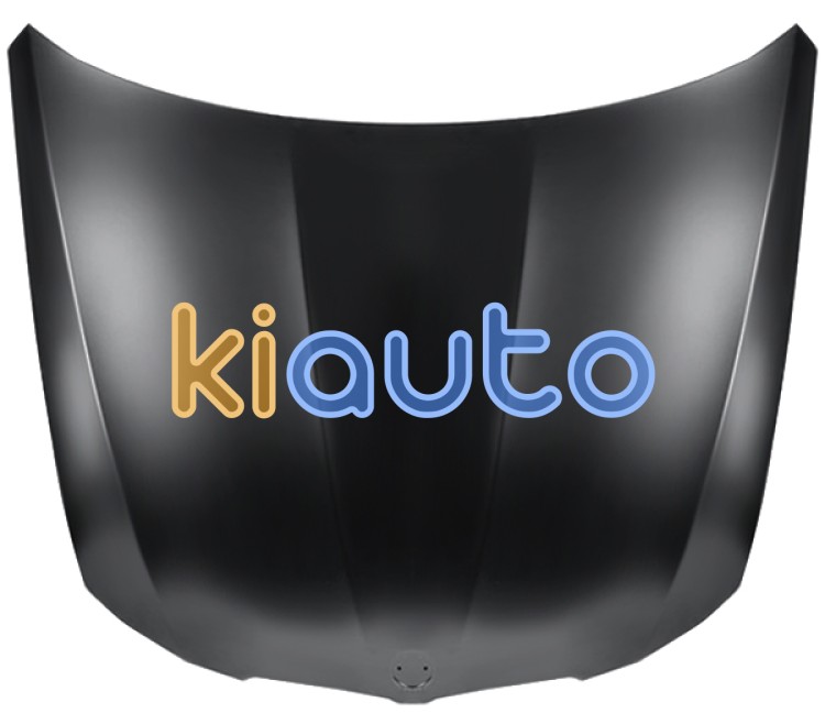 Capo bmw serie 3 (e90-e91) 2009-2012 delantero OE 41617153940