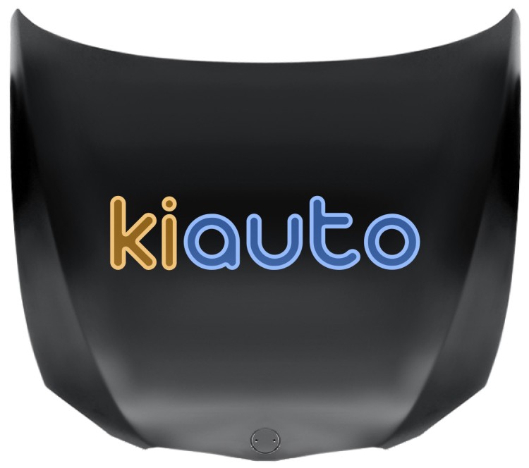 Capo bmw serie 3 (e92-e93) 2010-2013 coupe / cabrio / delantero OE 41617168514