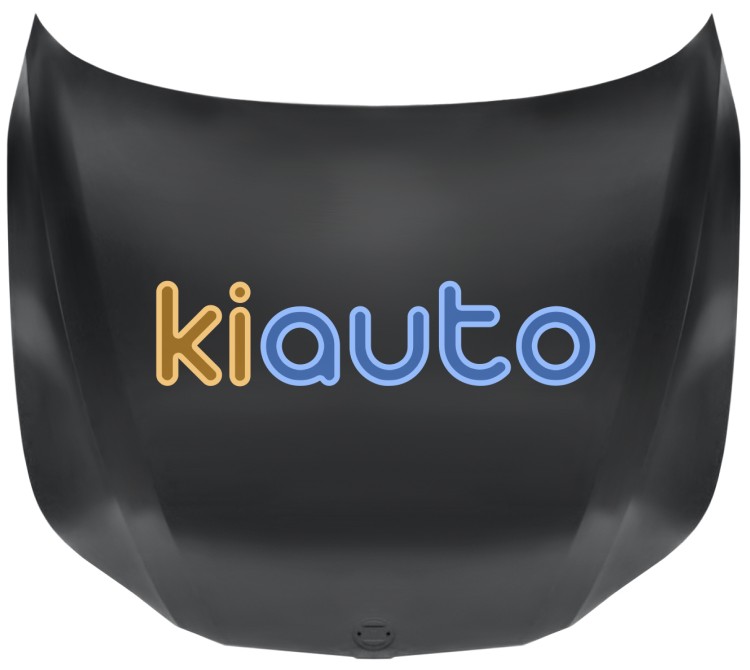 Capo bmw serie 5 (e60-e61) 2003-2007 delantero OE 41617111385