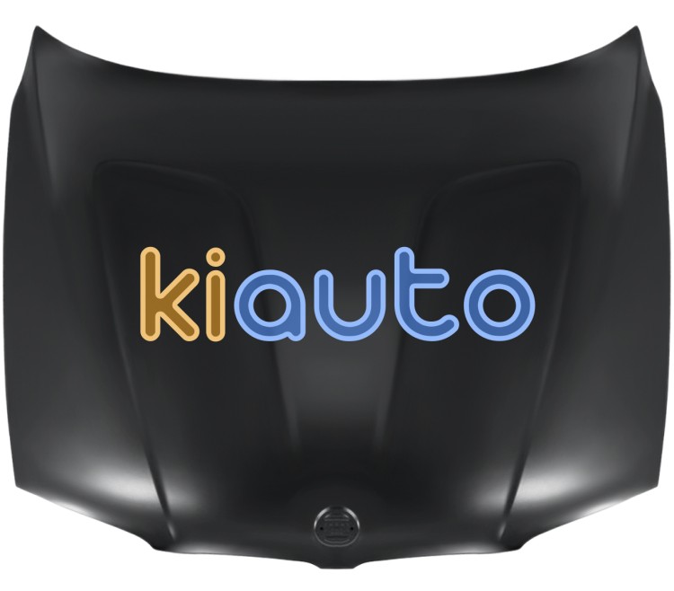 Capo bmw x3 (e83) 2006-2010 delantero OE 41003449411