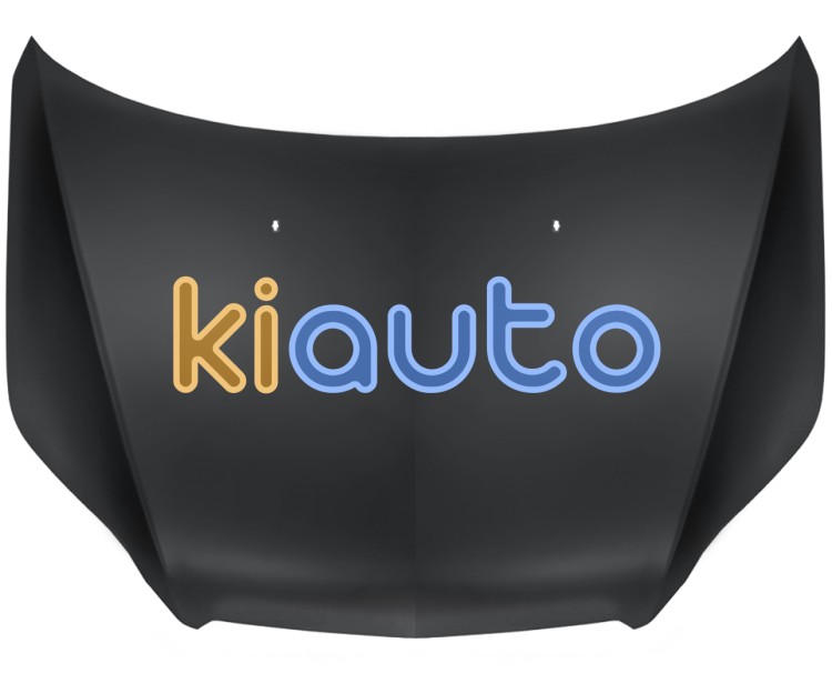 Capo chevrolet aveo 2009-2011 delantero OE 95164301