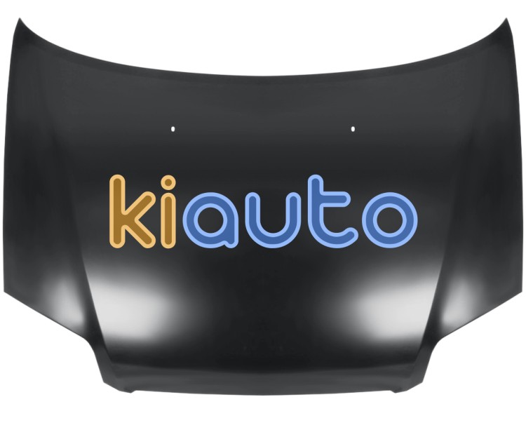 Capo daewoo kalos 2002-2005 sedan delantero OE 96297541 / 96540893 / 96540894