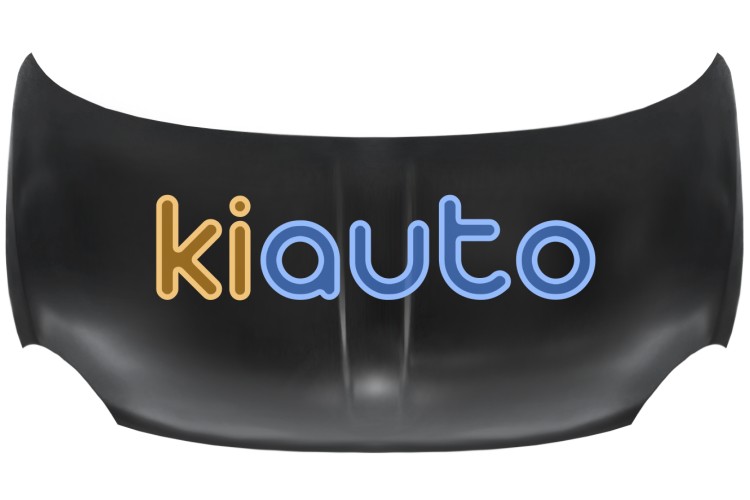 Capo fiat 500 2007-2015 delantero OE 51859537