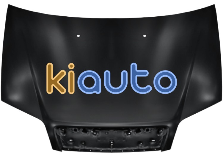 Capo fiat punto 2003-2005 delantero OE 51741257