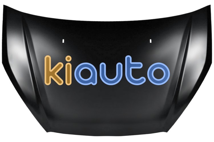 Capo ford galaxy 2010-2015 delantero OE 1696557
