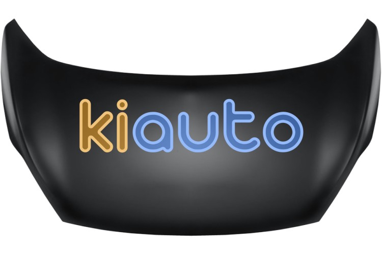 Capo ford ka 2008-2016 delantero OE 1542417