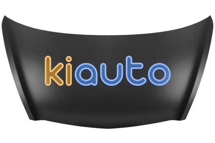 Capo honda jazz 2002-2004 delantero OE 60100SAA000ZZ / 60100-SAA-000ZZ
