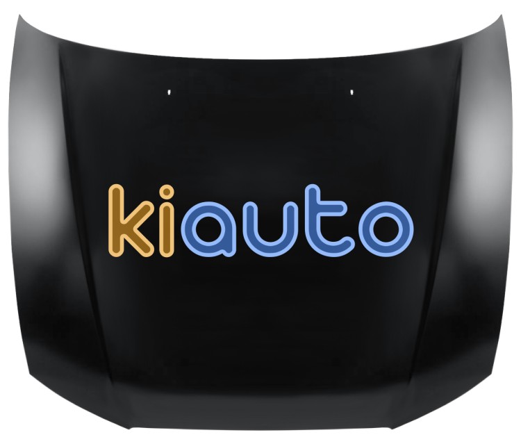 Capo hyundai accent 2000-2003 delantero OE 66400-25320 / 6640025320