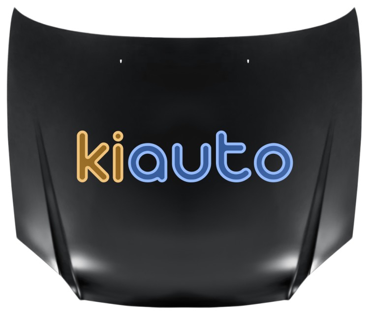Capo hyundai accent 2003-2007 delantero OE 66400-25520 / 6640025520
