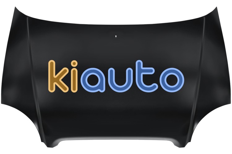 Capo hyundai atos 1998-1999 delantero OE 6640002020 / 66400-02020