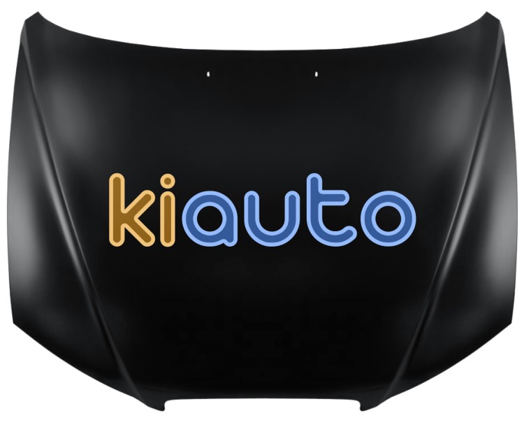 Capo hyundai elantra 2001-2004 delantero OE 664002D020 / 66400-2D020