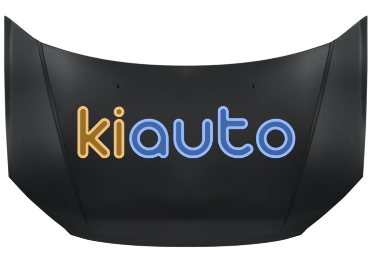 Capo hyundai getz 2002-2005 delantero OE 664001C000 / 66400-1C000