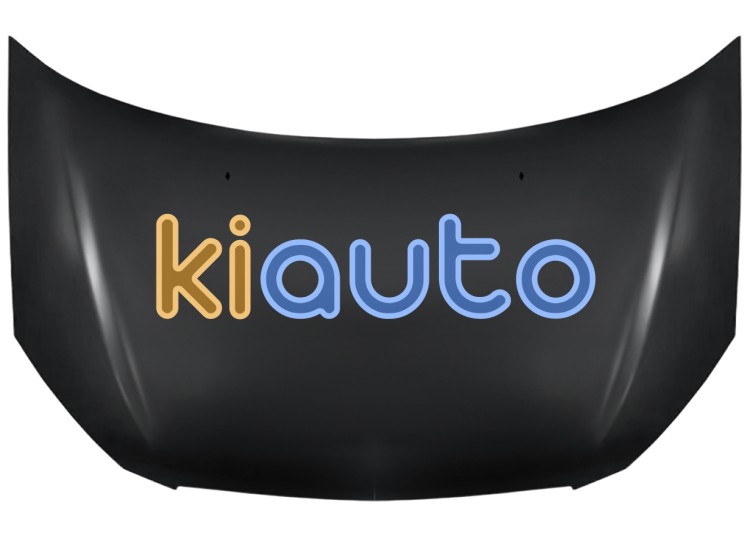 Capo hyundai getz 2005-2011 delantero OE 664001C510 / 66400-1C510