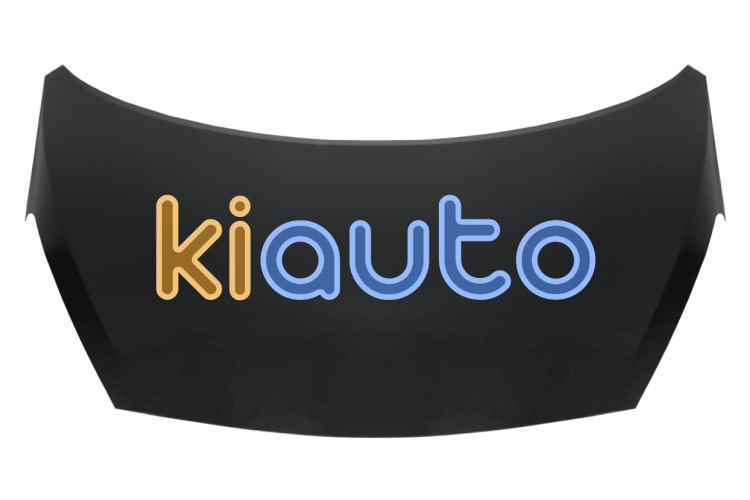 Capo hyundai i10 2013-2016 delantero OE 66400B9000 / 66400-B9000