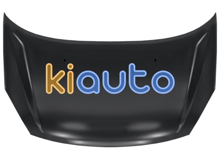 Capo hyundai matrix 2009-2011 delantero OE 6640010020 / 66400-10020