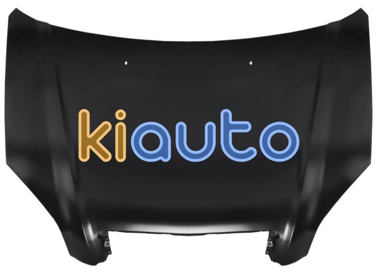 Capo hyundai tucson 2005-2010 delantero OE 664002E020 / 66400-2E020