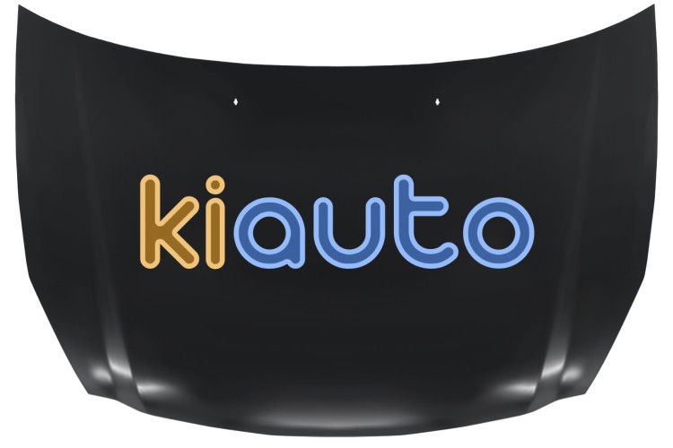 Capo kia carnival 2006-2012 delantero OE 664004D010